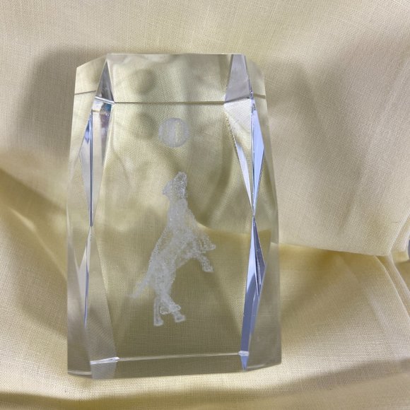 Playing Dogs Ball Puppies Laser Etched Crystal Glass Rectangle Paperweight 3D - Picture 6 of 10